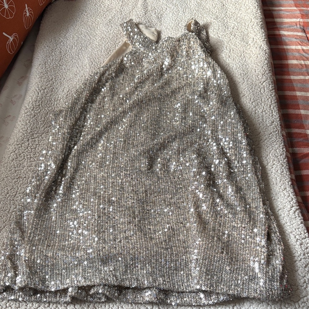 Cable & Gauge Silver Sequin Camisole
